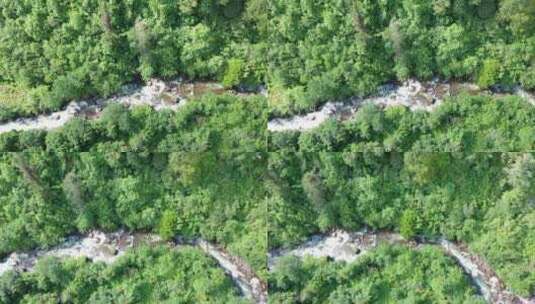 森林高山溪水河流树林雨林岩石湖泊航拍素材高清在线视频素材下载