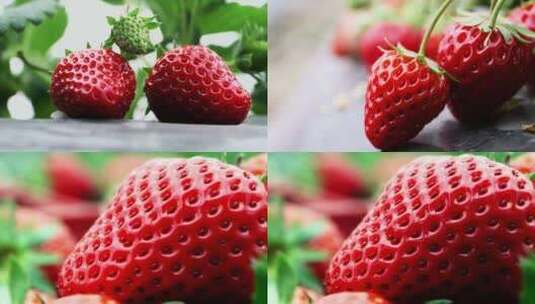 新鲜美味草霉大草莓特写视频素材高清在线视频素材下载