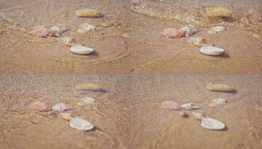 海边沙滩贝壳唯美高清在线视频素材下载
