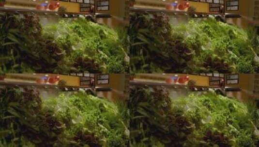 超市货架上的青菜高清在线视频素材下载