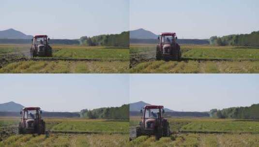 黑龙江北大荒拖拉机在水稻田里秋翻地高清在线视频素材下载