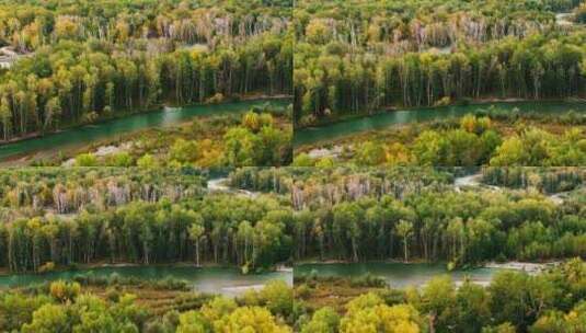 航拍树林中的河流高清在线视频素材下载