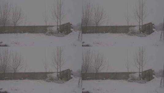 4K北方冬天下雪视频索尼slog2原视频高清在线视频素材下载