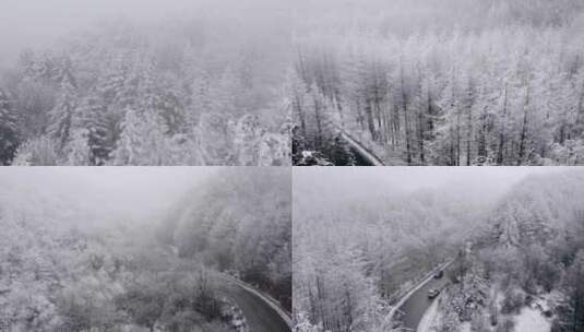 秦岭分水岭冬季雾凇雪景航拍高清在线视频素材下载