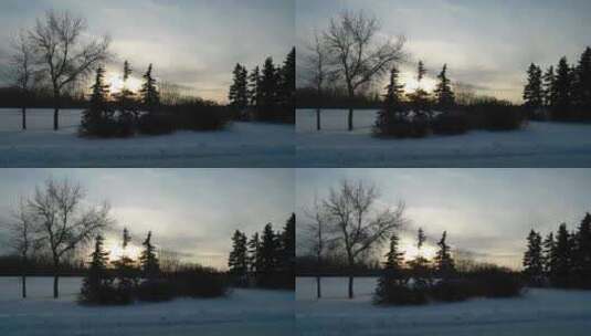 特写雾凇过后的森林大学覆盖白雪高清在线视频素材下载