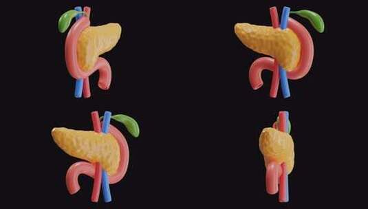 胰腺 3d 动画高清在线视频素材下载