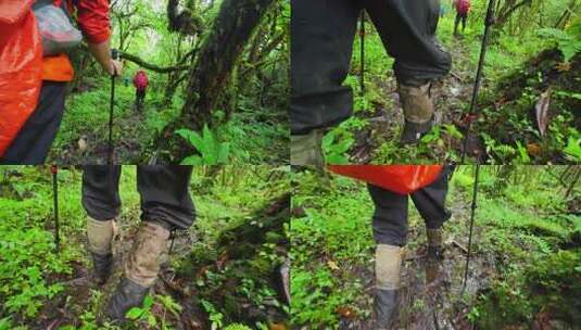 攀登四川第二高峰中山峰的登山队徒步进山高清在线视频素材下载