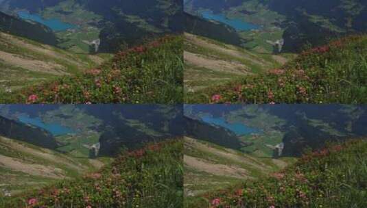 山谷山峰森林风景优美高山山顶风景自然树木高清在线视频素材下载