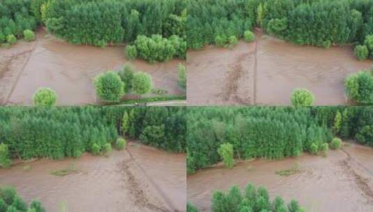 实拍暴雨后洪水 山洪  泥石流高清在线视频素材下载