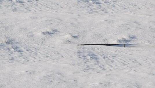 倾斜拍摄雪地里孤立的树木高清在线视频素材下载