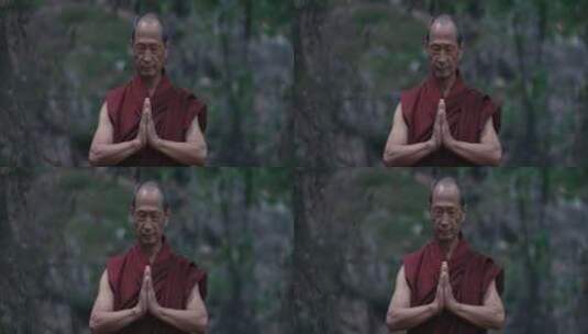 森林中祷告的僧人高清在线视频素材下载