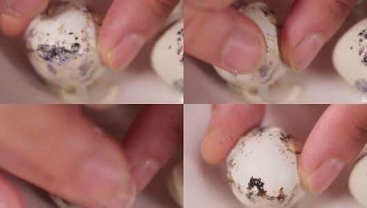 鹌鹑蛋拨壳去皮 (10)高清在线视频素材下载