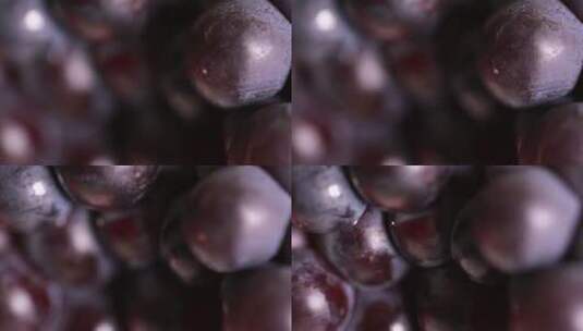 观察葡萄果实表面寄生虫高清在线视频素材下载