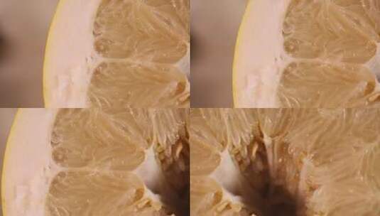 各种柚子果肉纹理微距高清在线视频素材下载