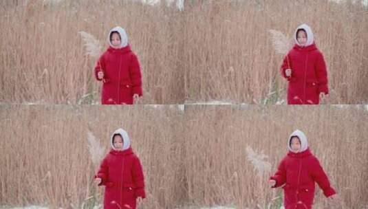 冬天在公园芦苇丛里玩雪的中国女孩形象高清在线视频素材下载