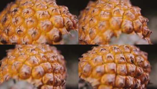 水果菠萝表皮高清在线视频素材下载
