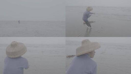 海南雷州半岛渔夫打渔收网1高清在线视频素材下载
