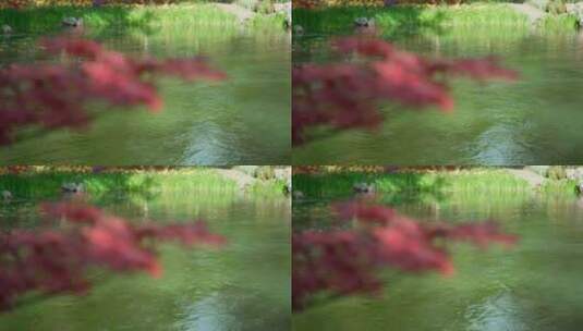 83 杭州 风景 小溪 流水 唯美高清在线视频素材下载