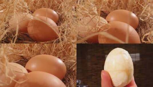 鸡蛋素材高清在线视频素材下载