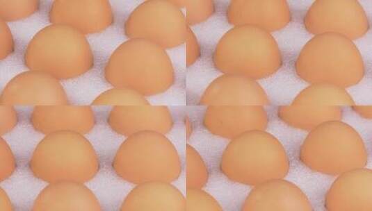 鸡蛋素材高清在线视频素材下载