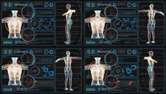 人体扫描蓝色科技HUD屏幕节目医疗大数据高清在线视频素材下载