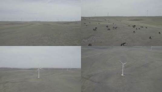 内蒙古风车牛草原航拍4K素材实拍高清在线视频素材下载