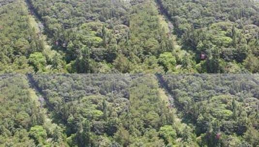 森林索道缆车航拍树林俯拍高清在线视频素材下载