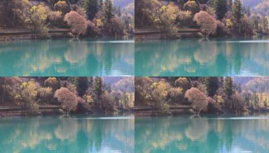秋天四川九寨沟景区中漂亮的水高清在线视频素材下载