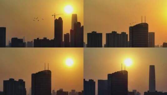 城市太阳落山鸽子归巢高清在线视频素材下载