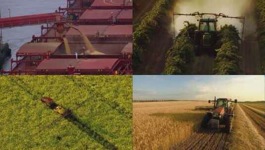 货轮装载大豆农业机械化高清在线视频素材下载