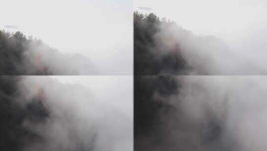 晨曦江南高山森林树林云海云雾生态环境高清在线视频素材下载