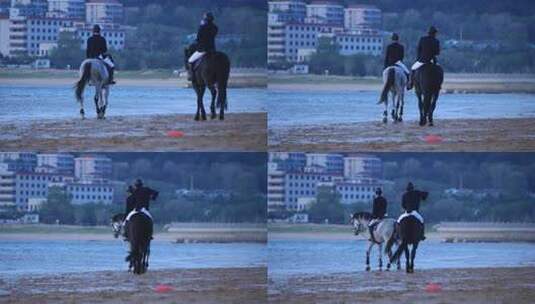 威海日落湾沙滩上骑马游玩的骑手高清在线视频素材下载
