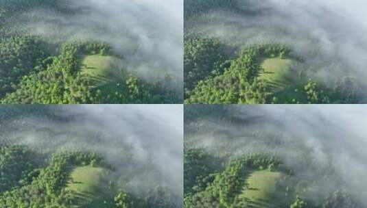 航拍绿色山林云海高清在线视频素材下载
