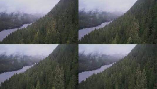 绿色森林河流青山绿水云雾气航拍自然美景高清在线视频素材下载