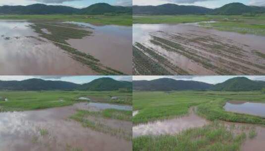 4k航拍雨后被淹的农田高清在线视频素材下载