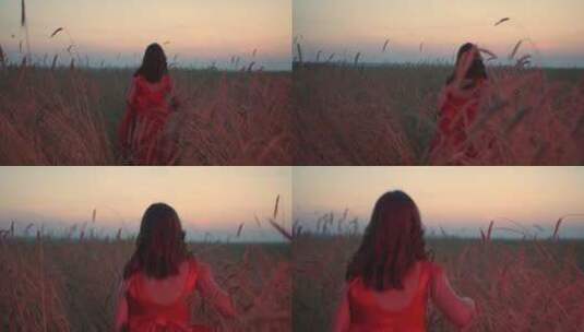 穿红裙的女孩走日落田野高清在线视频素材下载