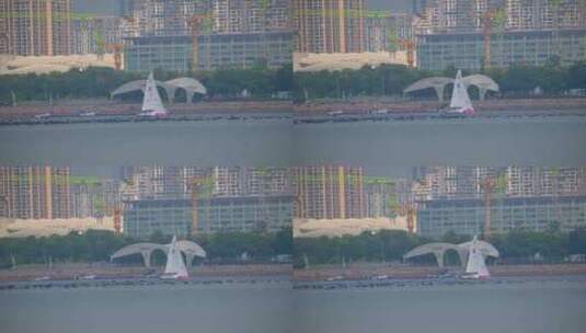 8K深圳欢乐港湾鸬鹚22高清在线视频素材下载