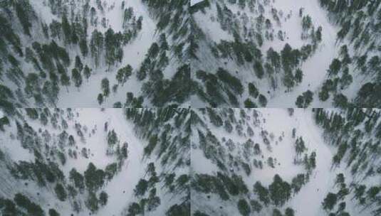 情侣森林滑雪航拍雪景树林高清在线视频素材下载