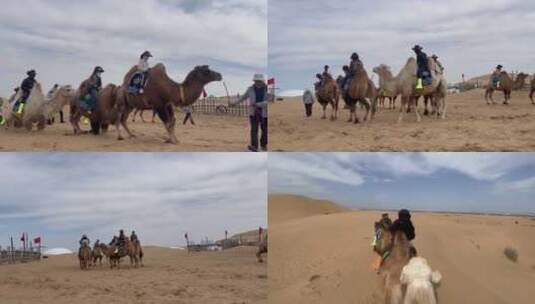 沙漠骑骆驼高清在线视频素材下载