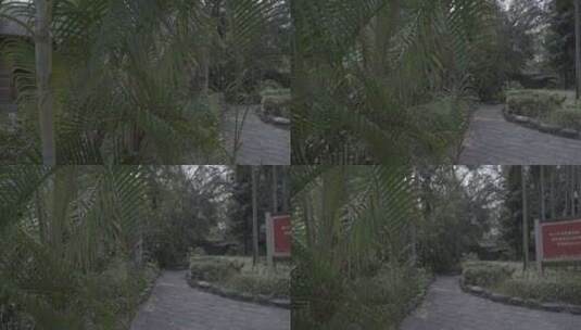 三亚天涯海角椰林风光高清在线视频素材下载