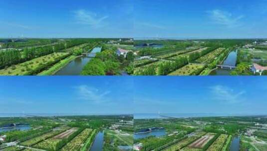 航拍上海长兴岛郊野公园崇明岛长兴岛公园高清在线视频素材下载
