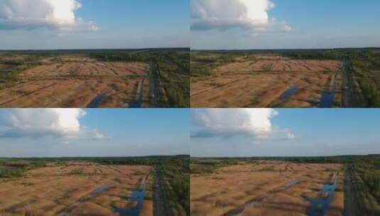 无人机拍摄的稻田和天空高清在线视频素材下载