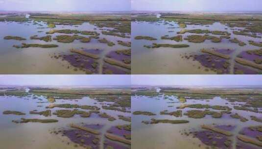宁夏银川沙湖景区航拍素材高清在线视频素材下载