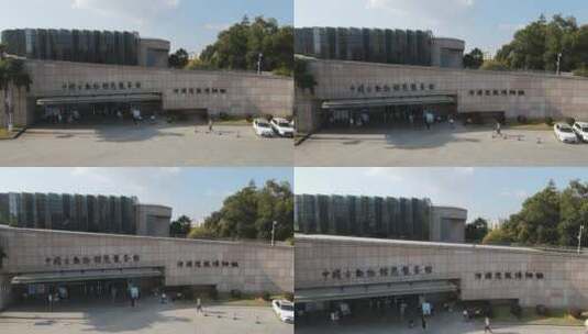 博物馆 龟峰塔 龟峰公园 河源市博物馆高清在线视频素材下载
