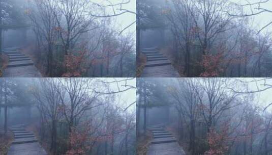 安徽九华山东崖界雾景视频素材高清在线视频素材下载