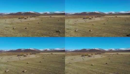 航拍内蒙古呼伦贝尔秋天的草原-023高清在线视频素材下载
