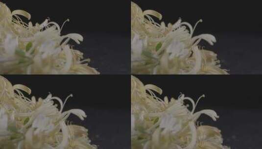 金银花采摘后影棚微距拍摄LOG高清在线视频素材下载