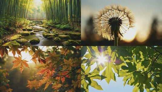 生机盎然的自然生态 微观世界的生命律动高清在线视频素材下载