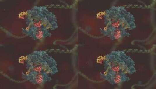 生物科学 基因编辑 DNA 基因工程 医学动画高清在线视频素材下载