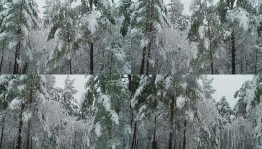 航拍森林冰雪高清在线视频素材下载